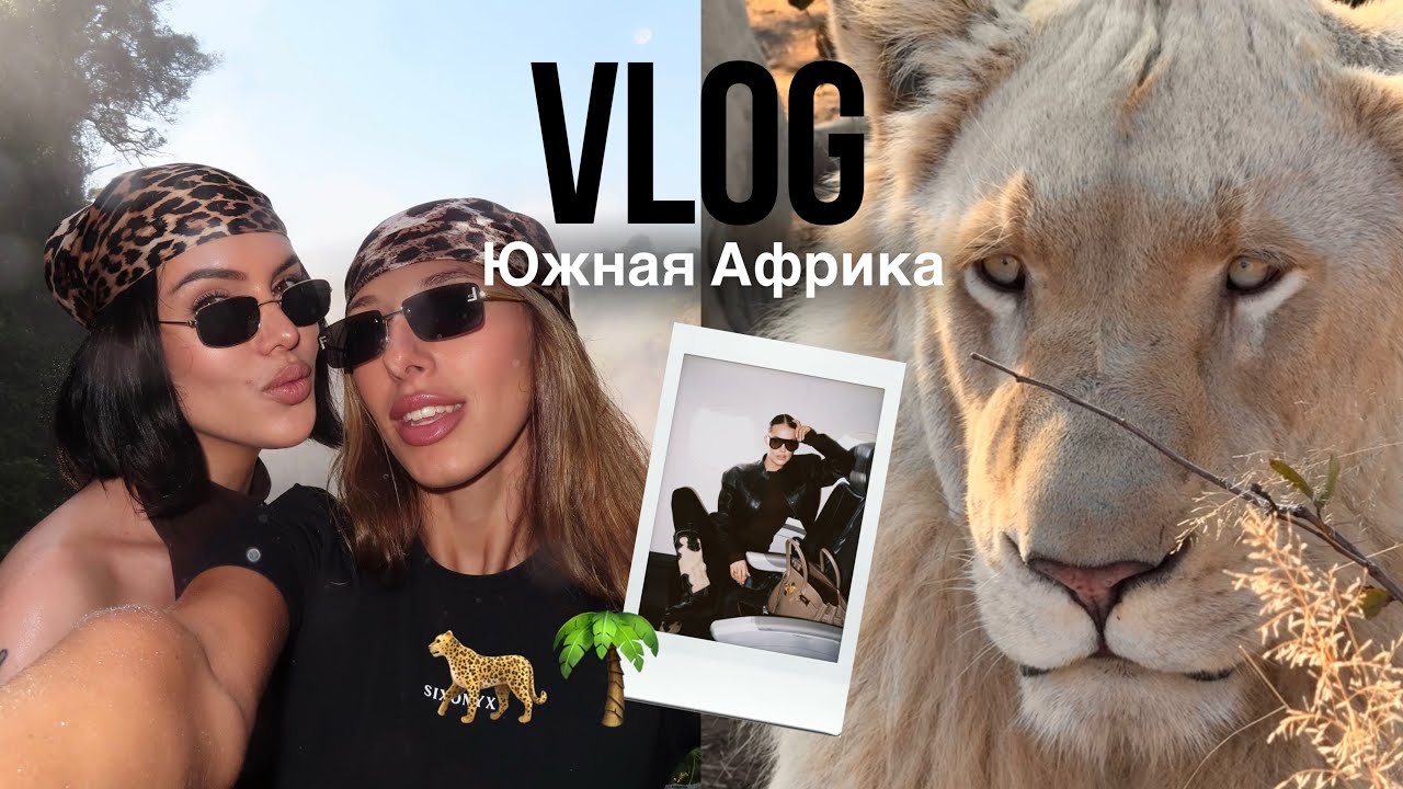 VLOG | Южная Африка женскими глазами: сафари, бутик-отели, львы и шампанское