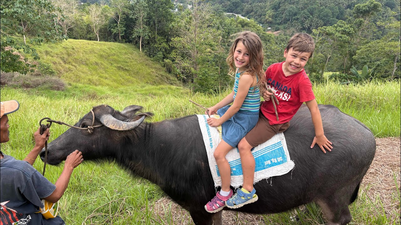 Our Kids Rode a Water buffalo 🇵🇭