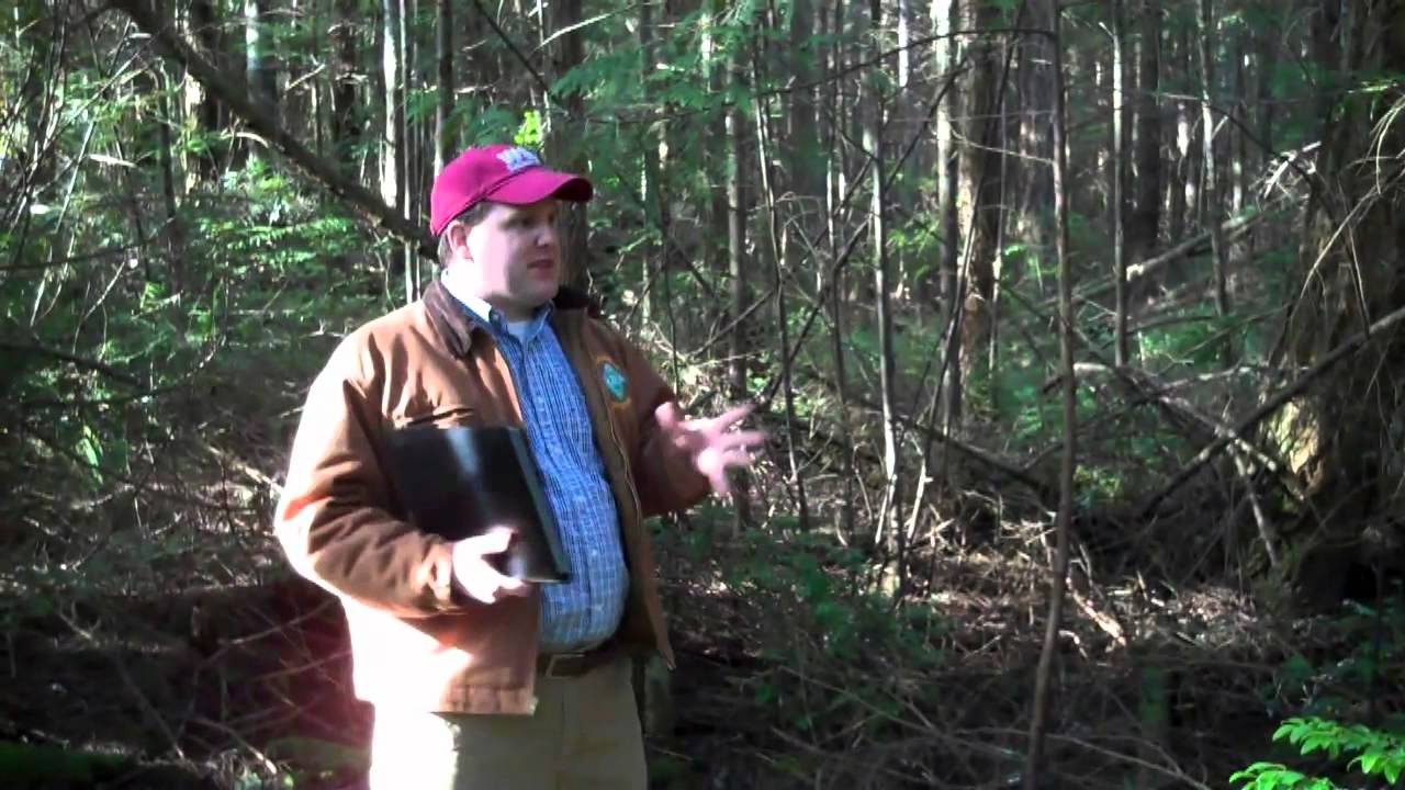 Small forest management