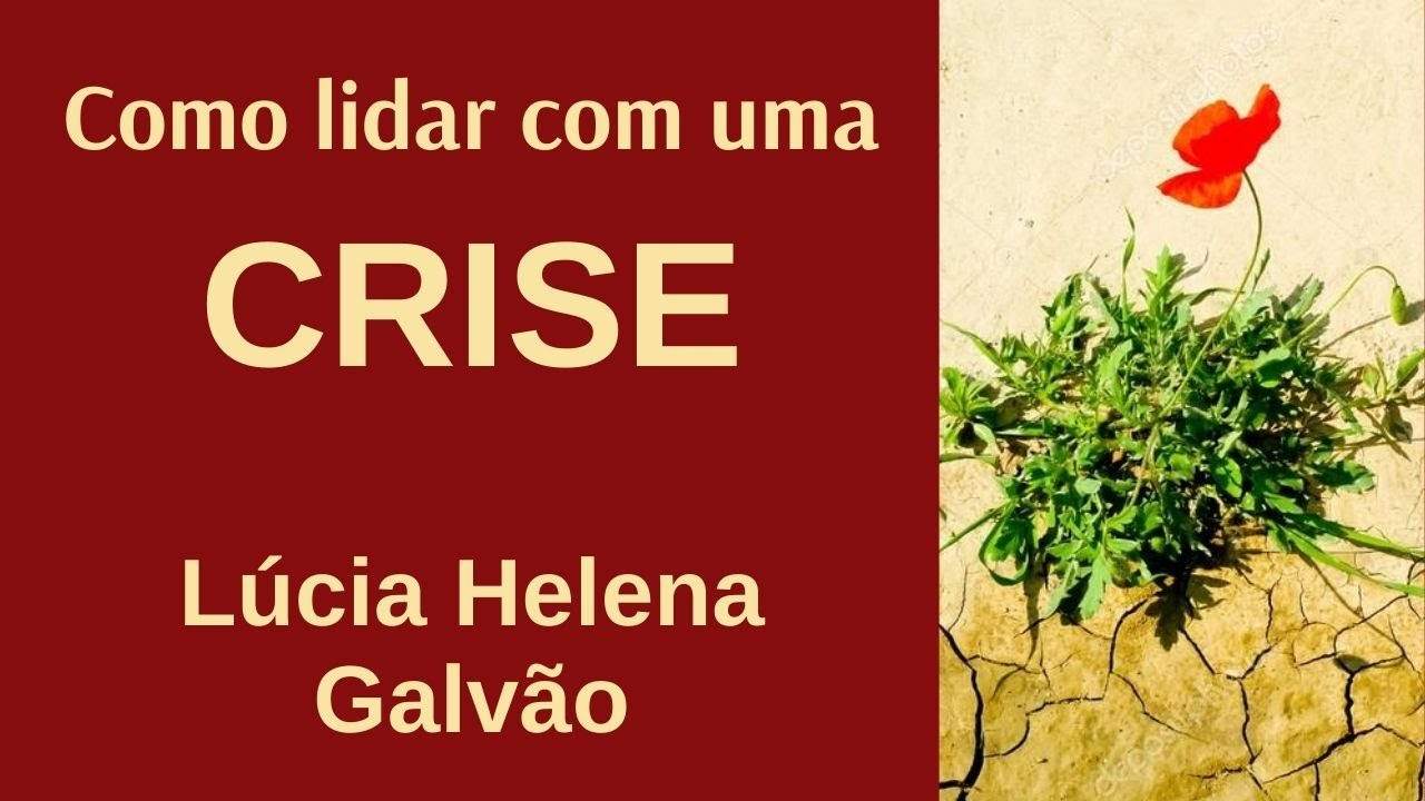 COMO LIDAR COM UMA CRISE (2018) - Lúcia Helena Galvão