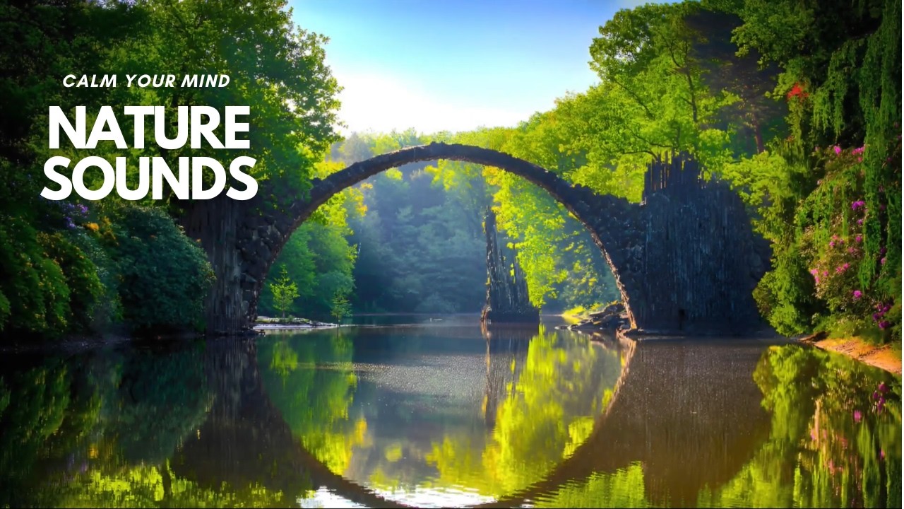 Healing Nature Sounds 🌿 Calm Your Nervous System & Deep Relaxation