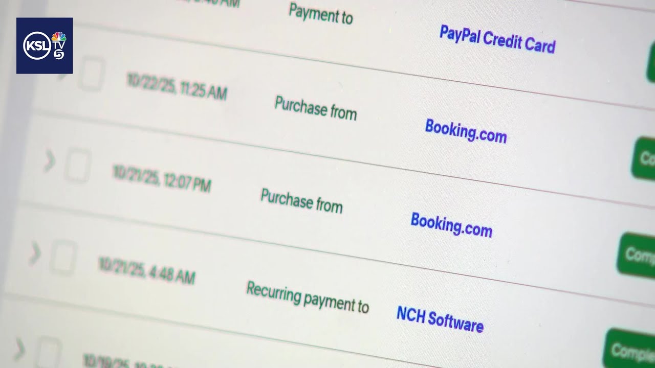 PayPal user fights for his money back after he said a hacker racked up fraudulent charges