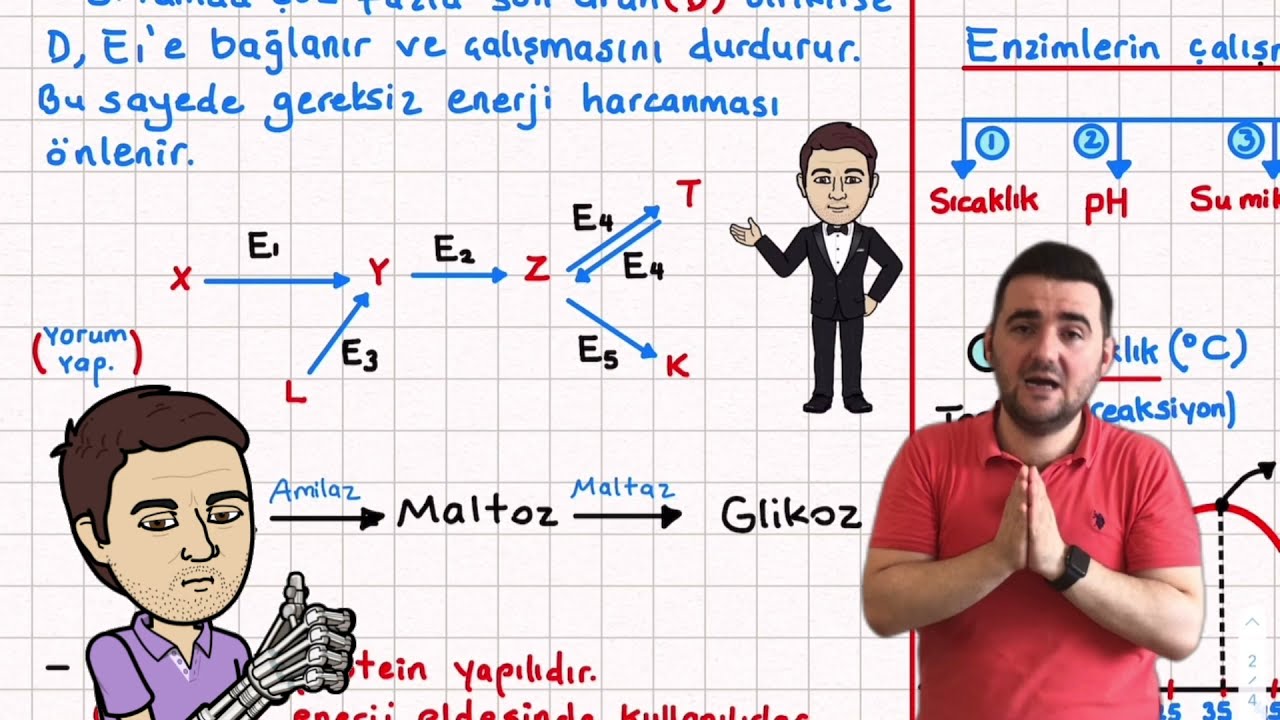 8-CTB Enzimler Konu Anlatımı 9.sınıf biyoloji Tyt Biyoloji Konu anlatımı Yks 2023