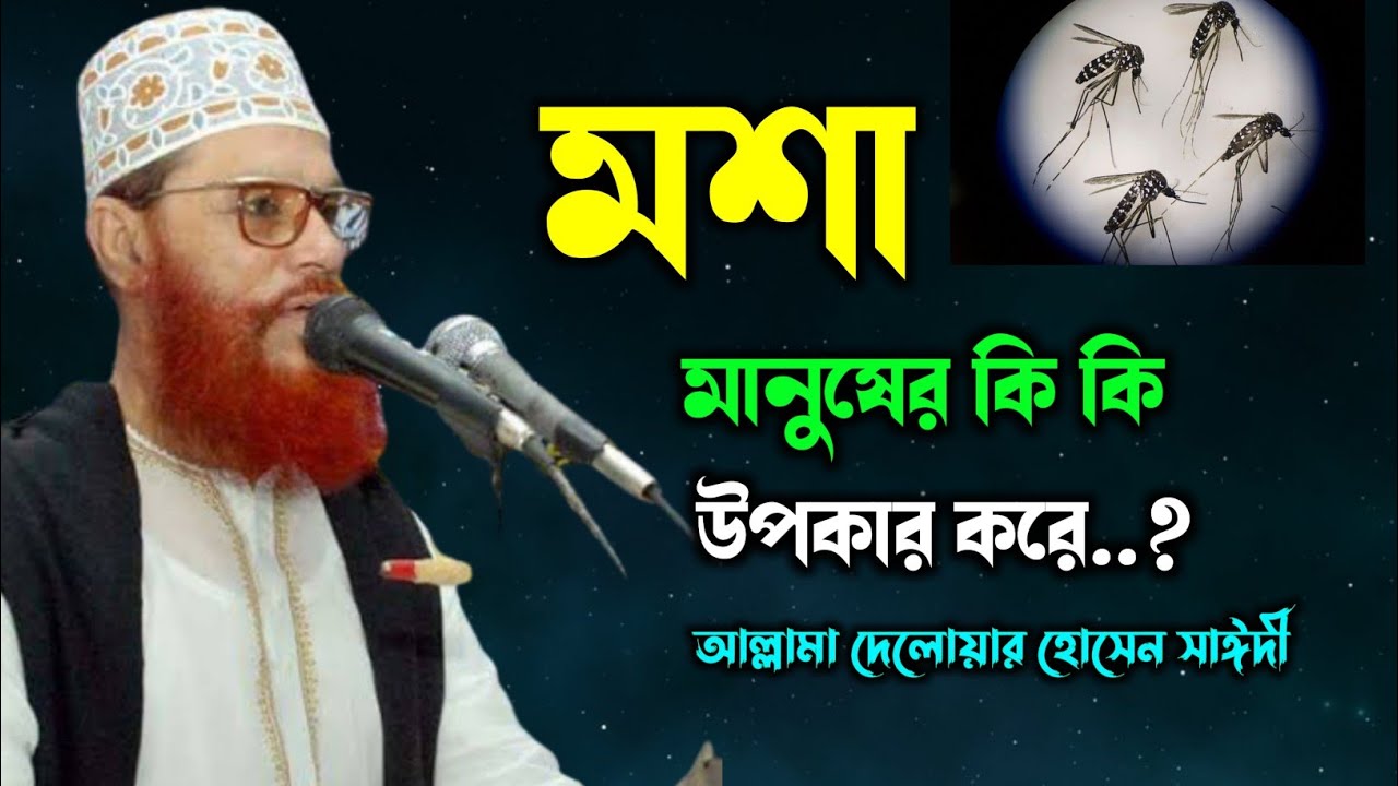 মশা মানুষের কি কি উপকার করে 🦟🦟 ||আল্লামা দেলোয়ার হোসেন সাঈদী ||Mosha ||saidi waz ||saidi