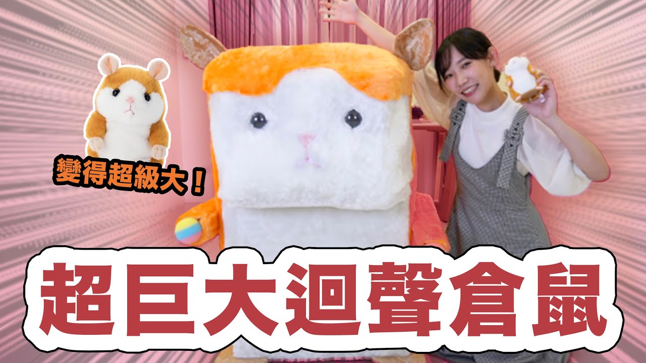 我做了超巨大迴聲倉鼠！倉鼠四週年企劃！| 安啾 (ゝ∀･) ♡