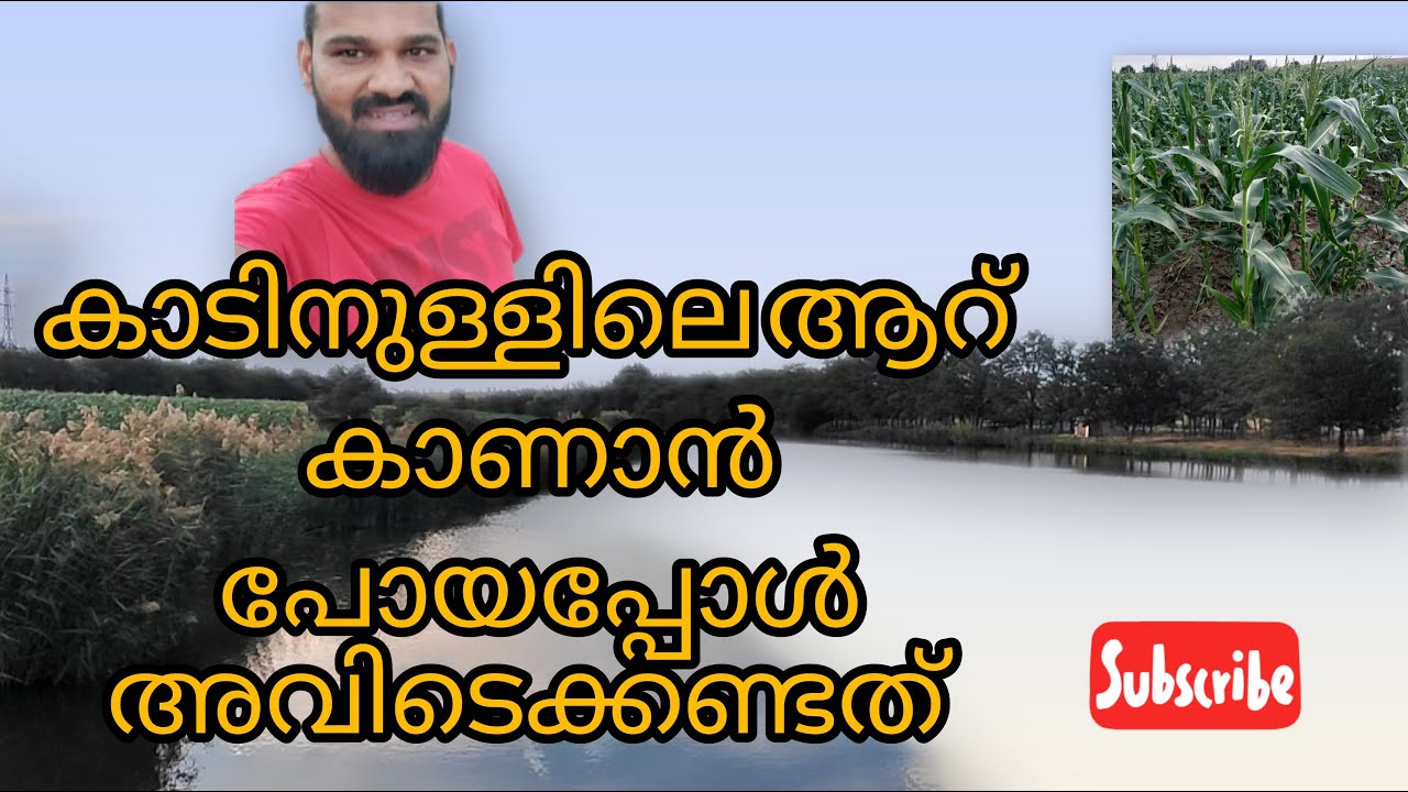 കാട്ടിനുള്ളി ആറിൻ്റെ ഭംഗി കാണാൻ എന്ത് ഭംഗിയാണ് #trendingvideo#malluromania#flowers