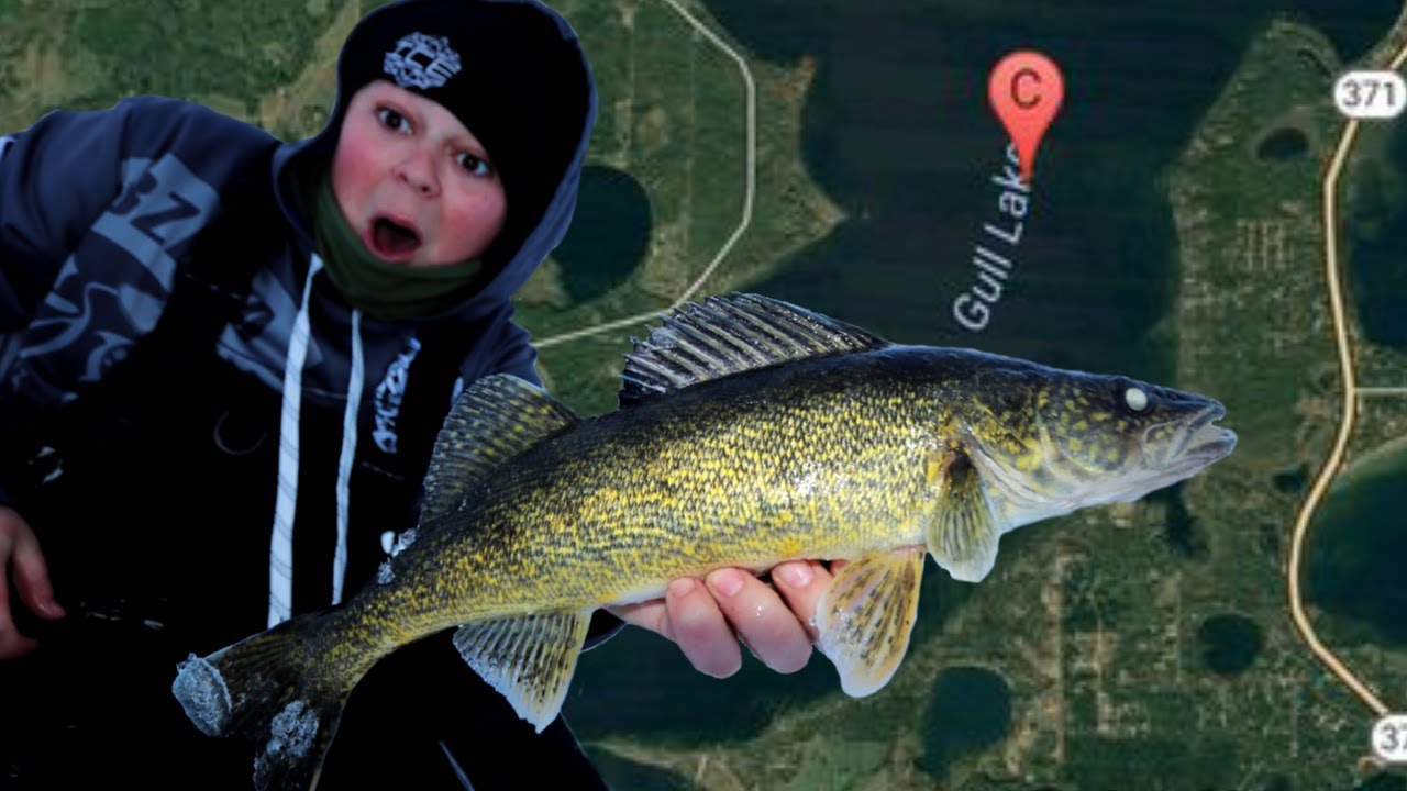 Ice Fishing Gull Lake Walleye's 