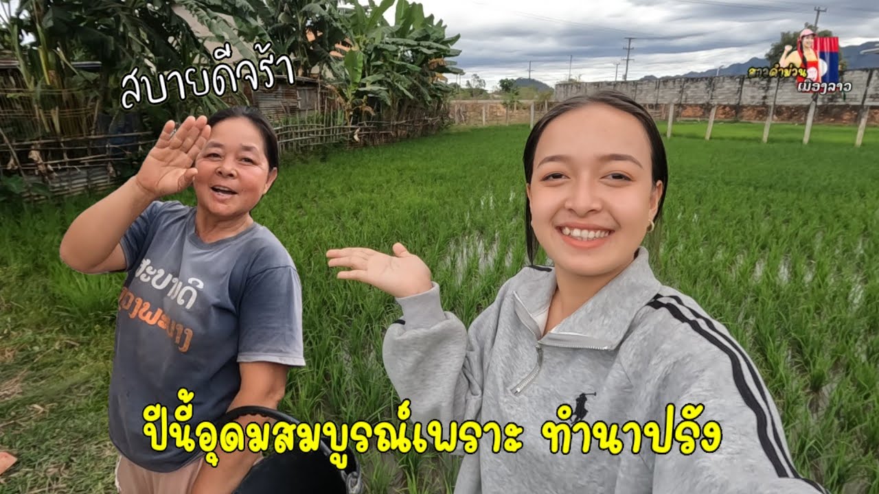 ตกมาปีนี้อุดมสมบูรณ์มาก ทั้งเลี้ยงไก่และทำนาปรัง...