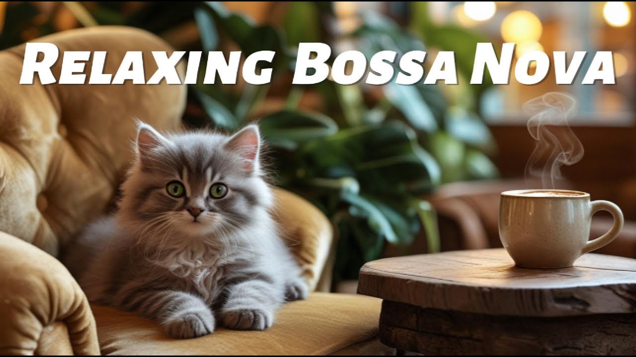 Relaxing Bossa Nova Afternoon ☕ Smooth Jazz Cafe Music for Study, Work & Calm Focus