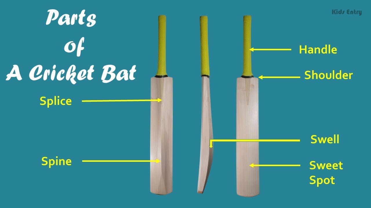 Parts of a Cricket Bat | Various Parts of a Cricket Bat | Cricket Bat Parts names