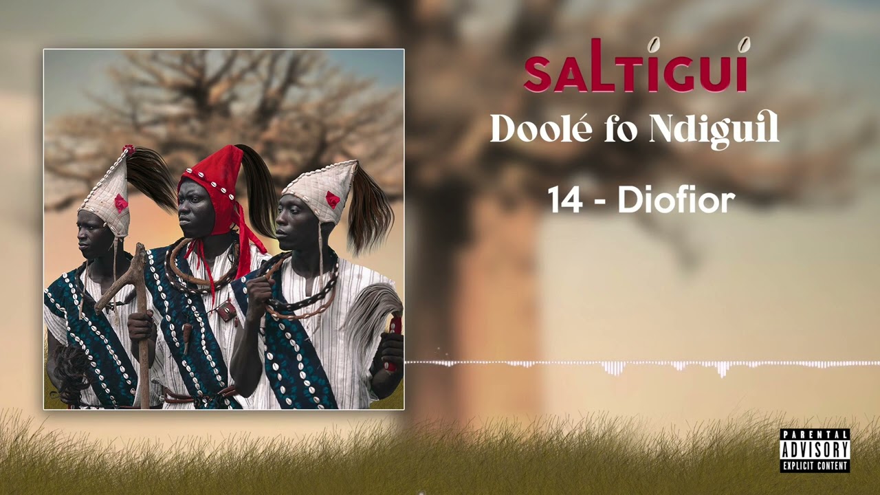 SALTIGUI _ DIOFIOR _ ALBUM DOOLE-FO-NDIGUIL