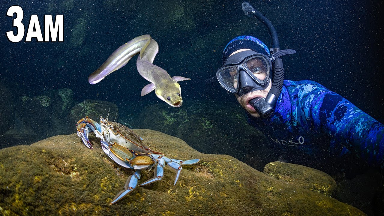 This Salty Spring is Full of Weird Creatures at Night