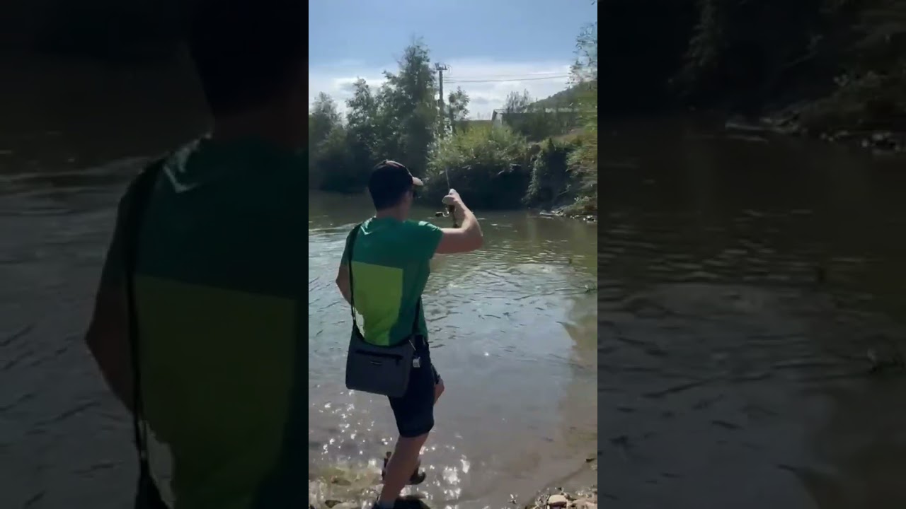păstrăv curcubeu de 46 de centimetri...