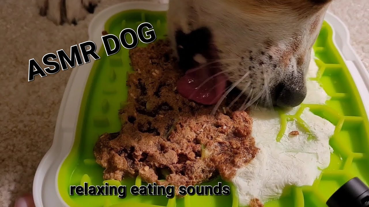 ASMR Dog eating and licking frozen juicy canned food and joghurt on a lickimat I relaxing,no talking
