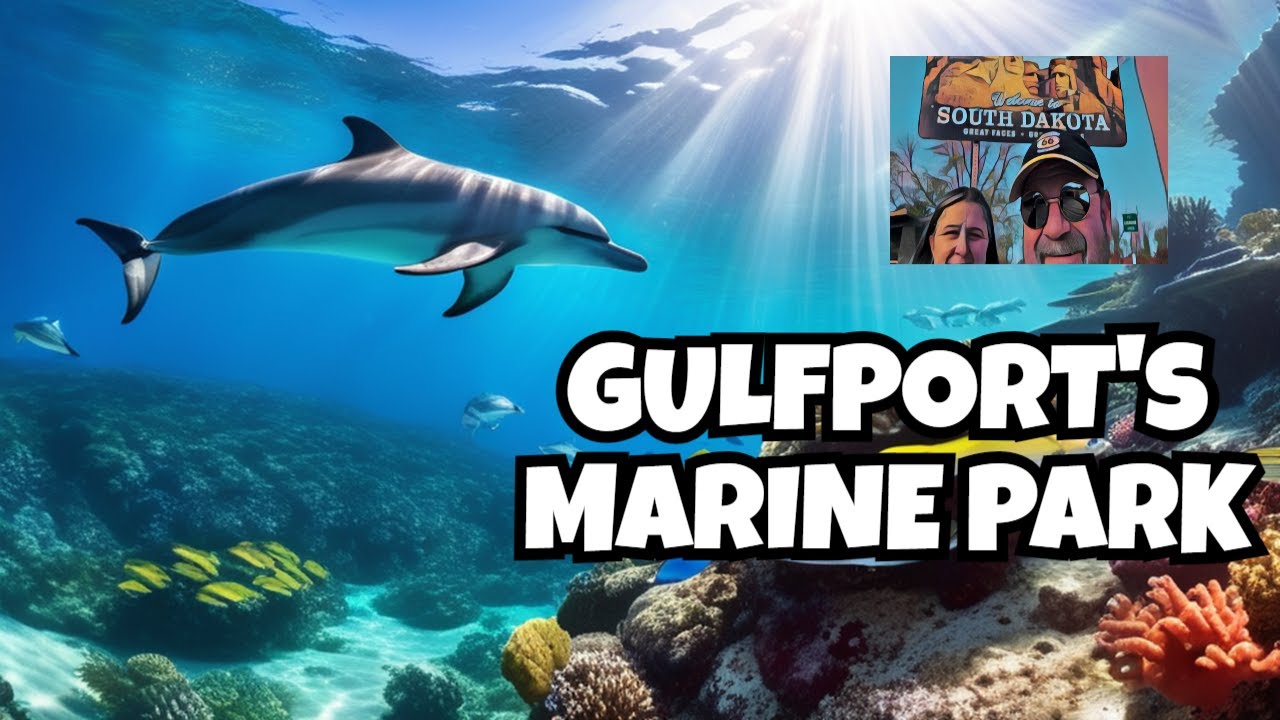 Thrilling Marine Park Adventures in Gulfport!