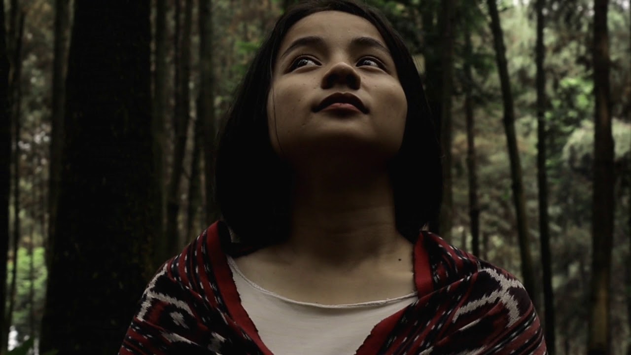 Raindrop - Untuk Alam (Official Music Video)