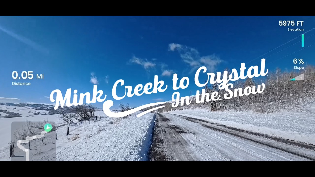 Winter Trail Run - Mink Creek to Crystal. POV Treadmill Running