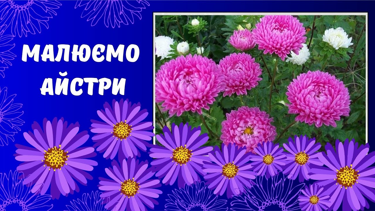 Малюємо айстри. Малювання для дітей