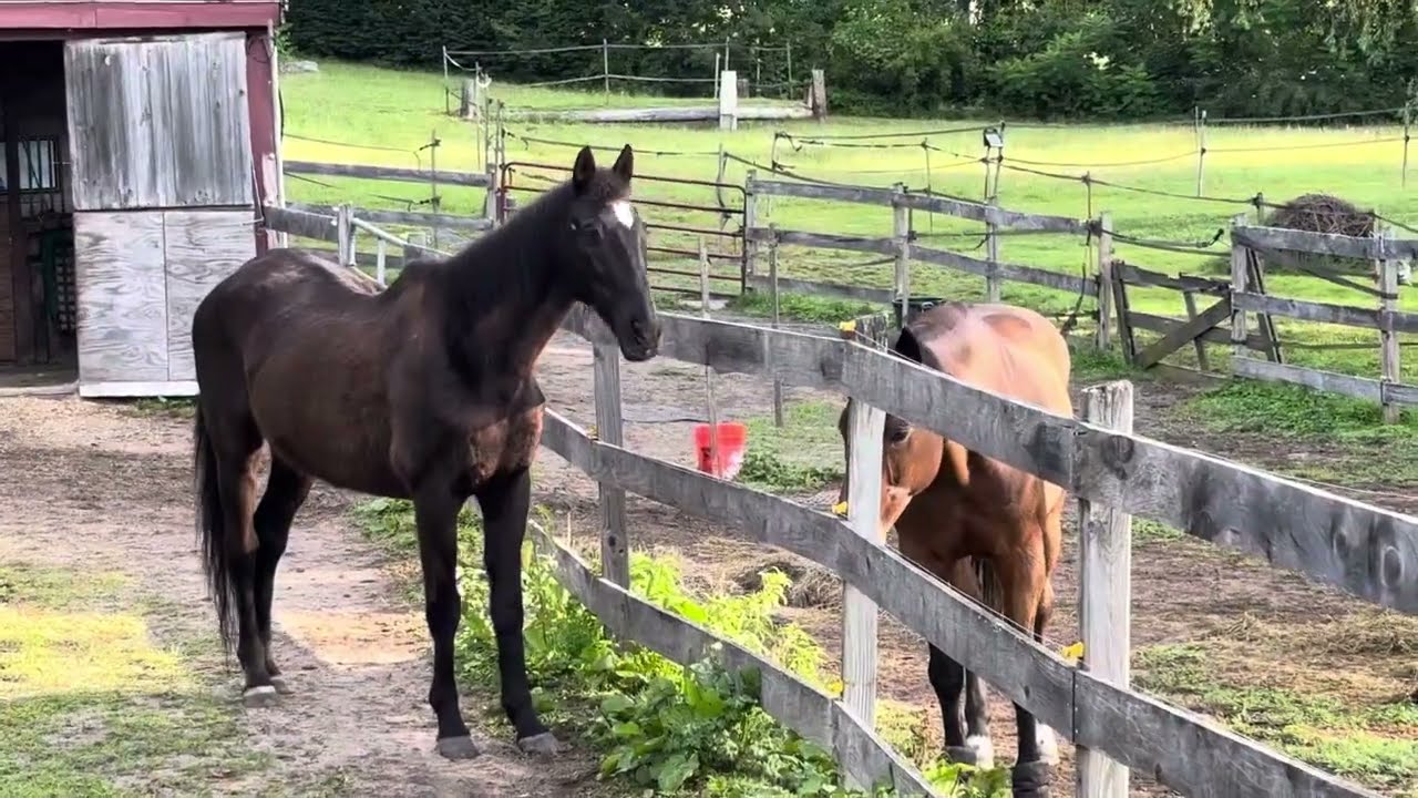 Good Morning to Arthur and Madison