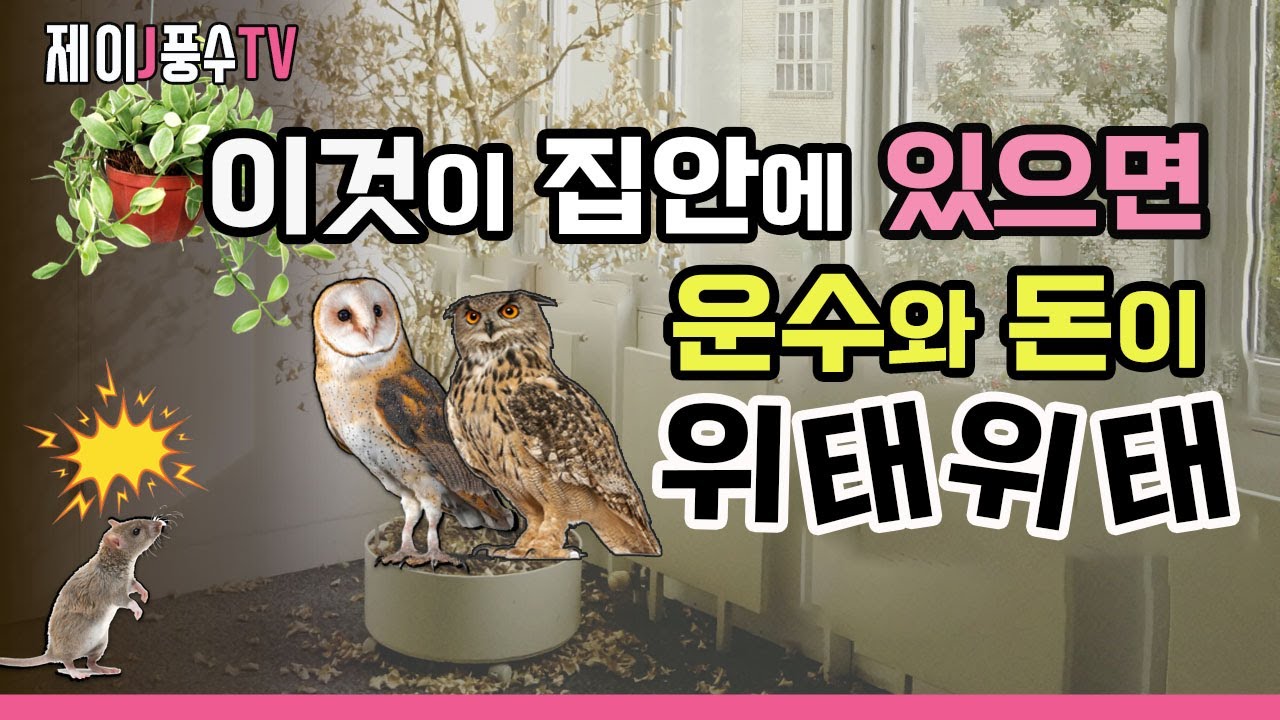 [풍수인테리어]이것이 집안에 있으면 운수와 돈이 위태위태