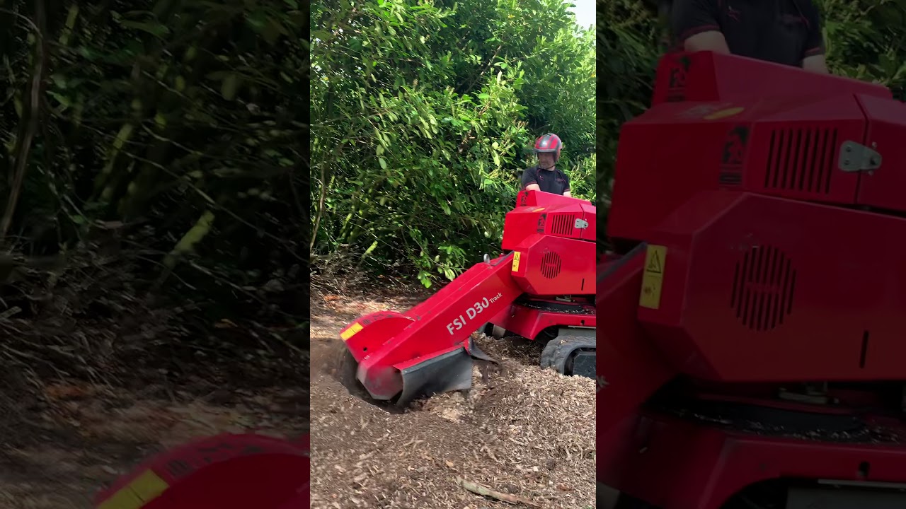 Antrobus Tree Stump removal, stump grinding, FSI D30 Tracked Stump Grinder in action.