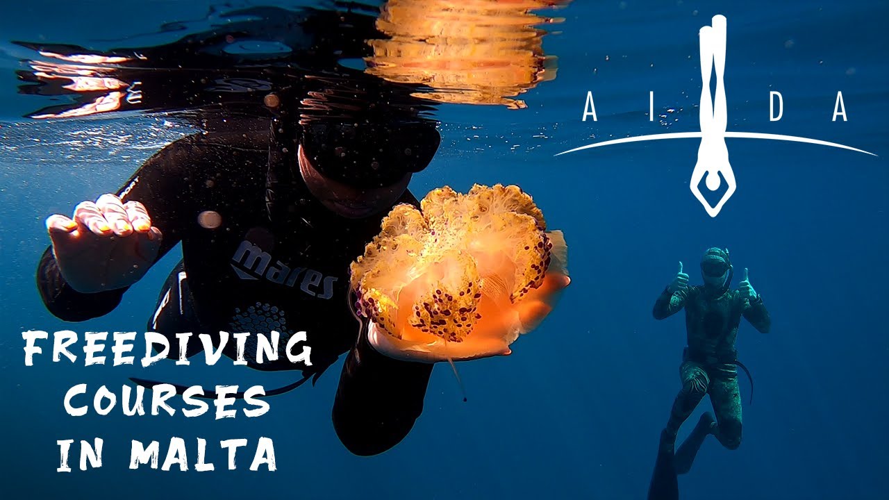 AIDA Freediving Courses in Malta with SPEARFISHERZ