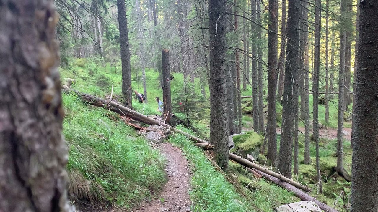 Munții Retezat Cârnic-Lacul Galeș-Șaua Mare -Vârful Mare 2463m-Tăul dintre brazii și retur la Cârnic