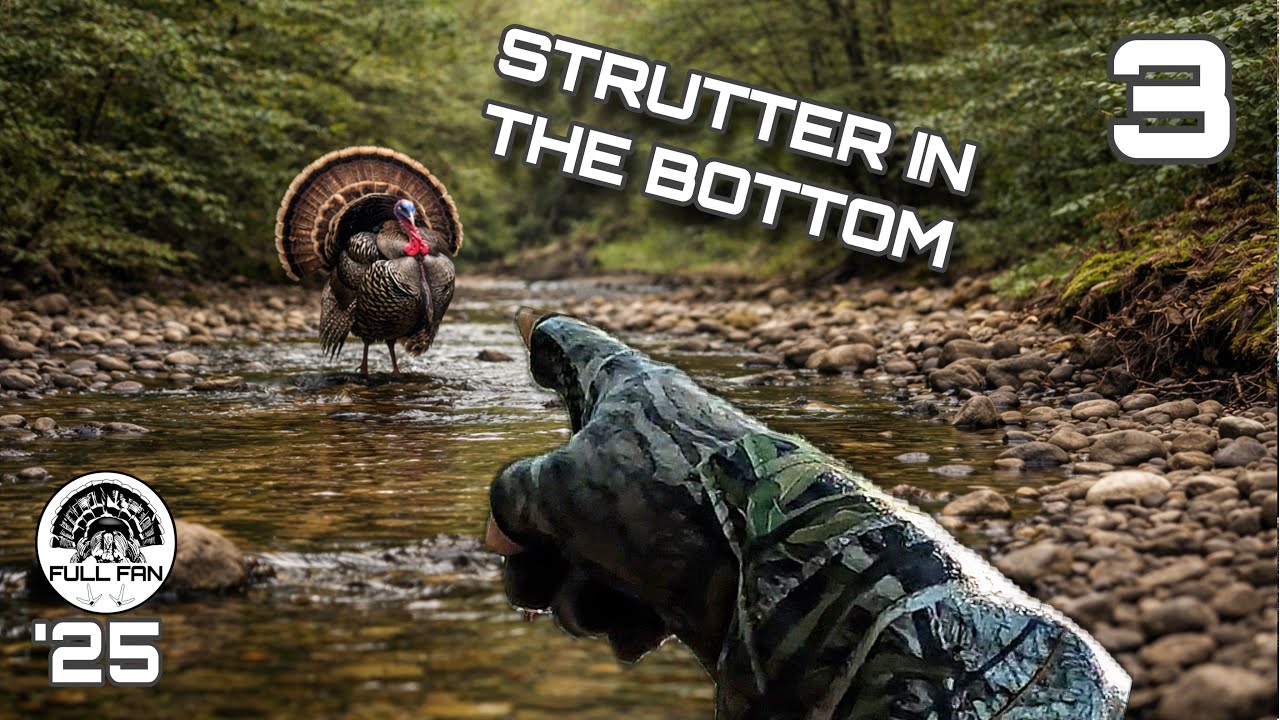 Creek Bottom Longbeard Got Away | Lessons Learned