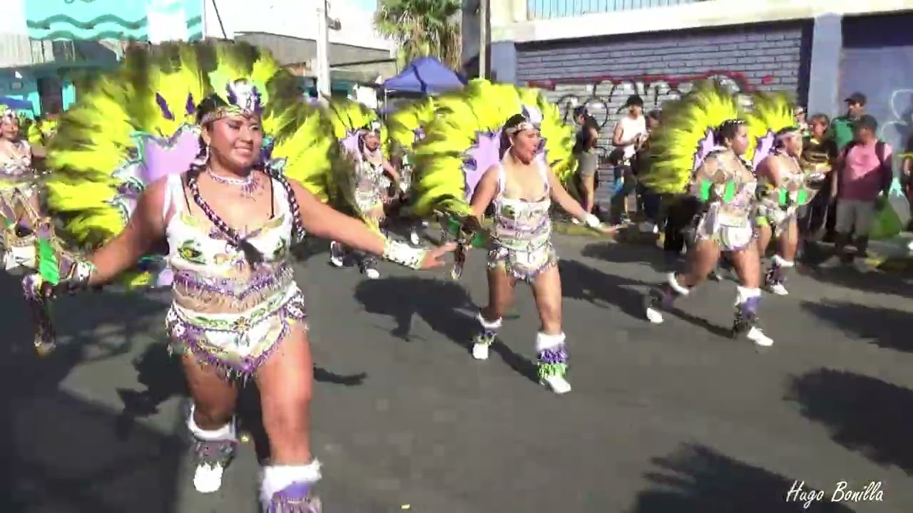 Tobas Jaguares Sajama - Carnaval de Arica 2026