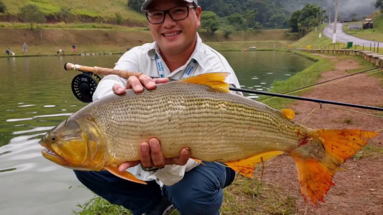 Pesca fechada com pessoal do Fly - organizador Marcos