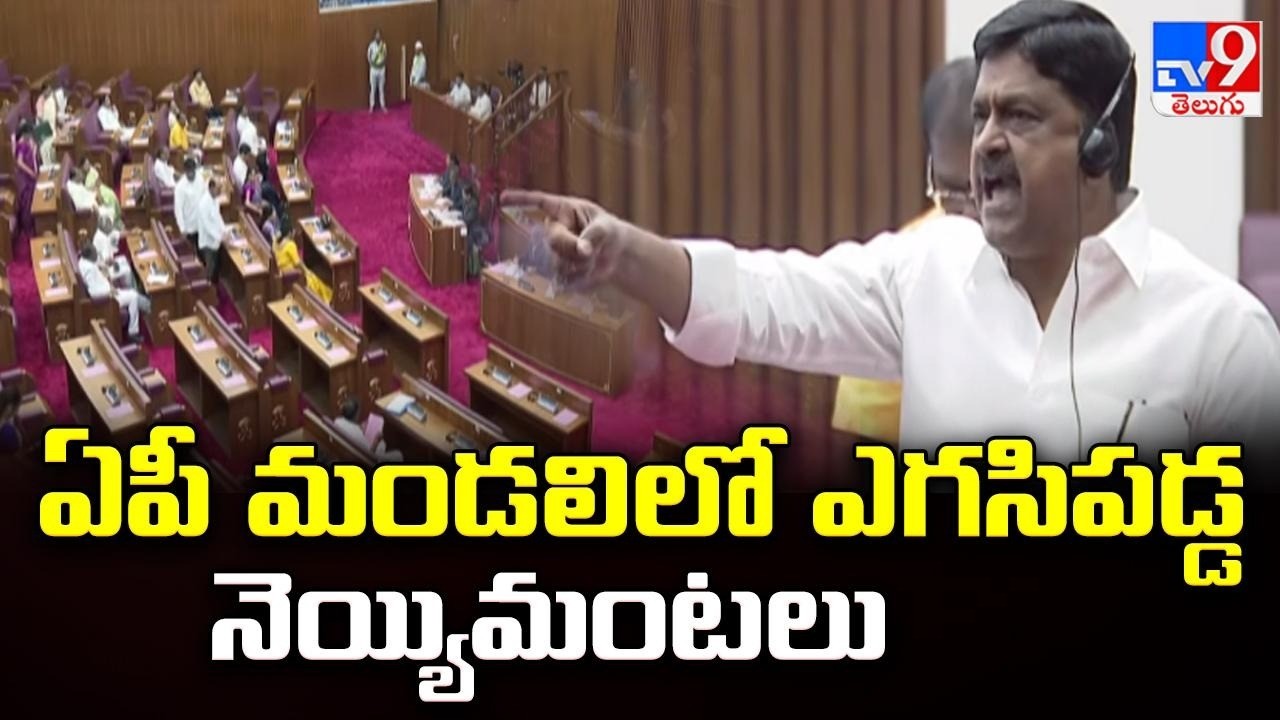 AP Council Erupts Over Ghee Issue : మండలిలో 'నెయ్యి' సెగ.. దద్దరిల్లిన పెద్దల సభ! - TV9