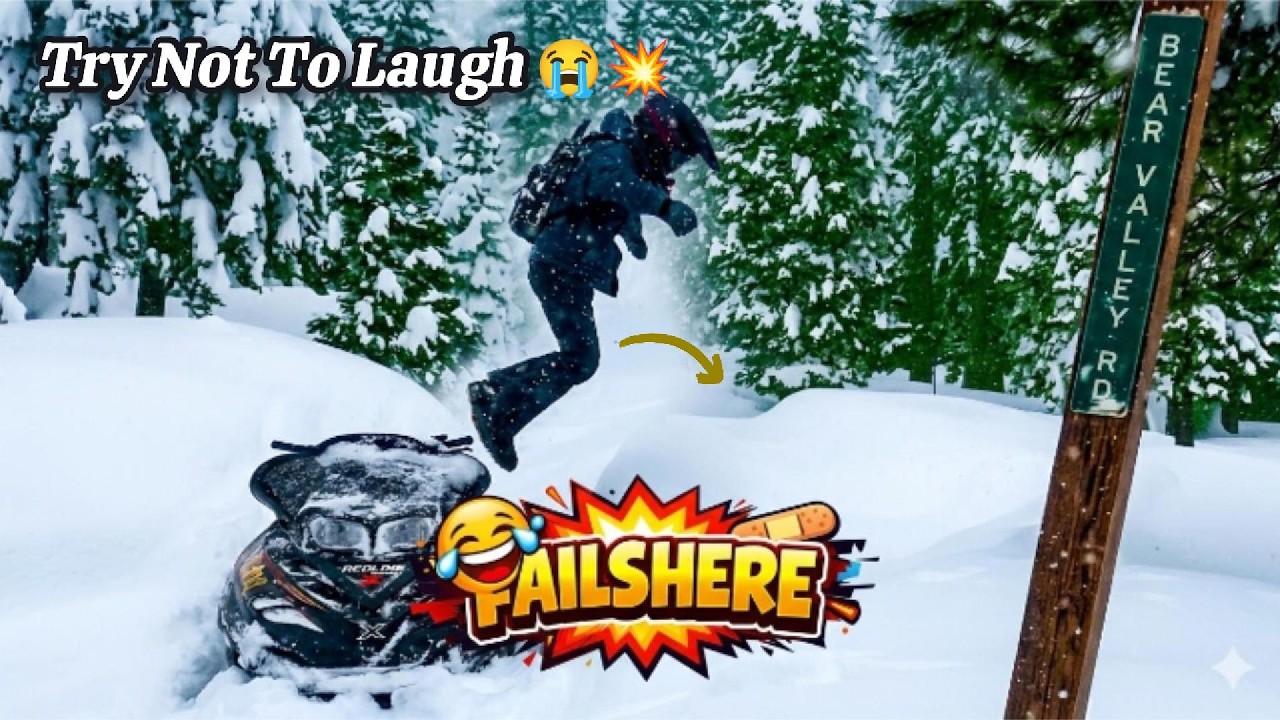 🔥 Ultimate Instant Regret – Try Not To Laugh Challenge 2026 😂