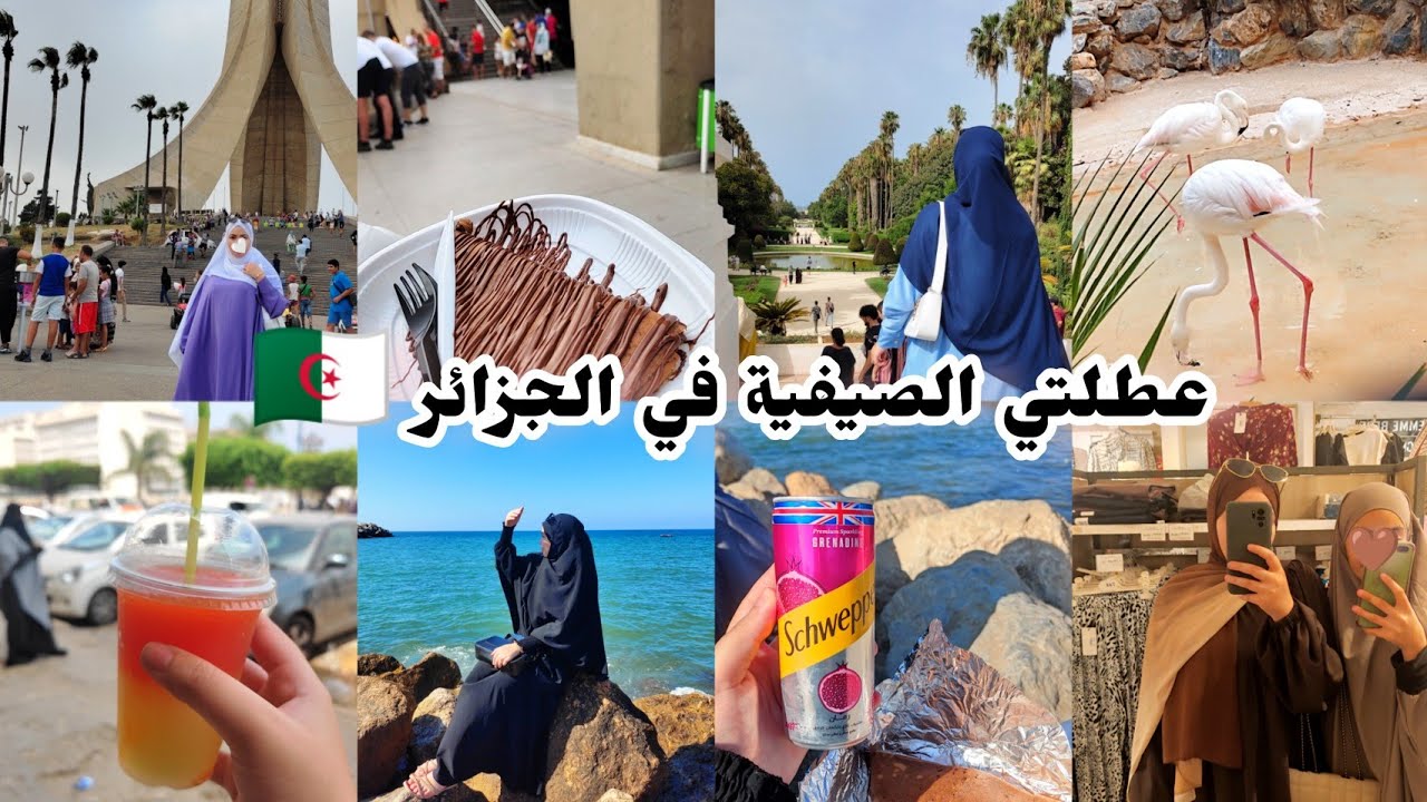 اسبوع كامل في الجزائر العاصمة 🇩🇿✨