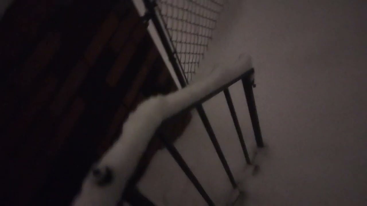 Another video of the snow  in Charlotte NC 5