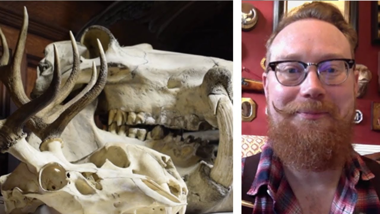 A Tour of the Natural History Collection