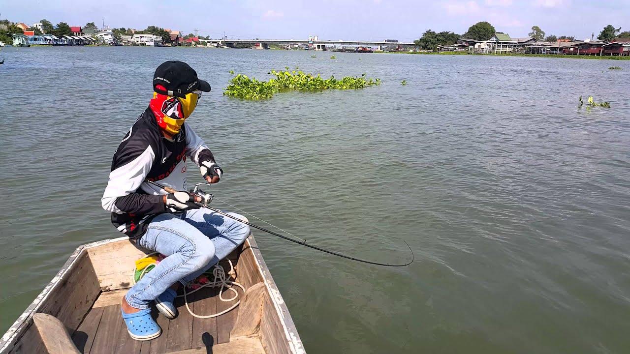 Mr. Watt and Black ear catfish 01
