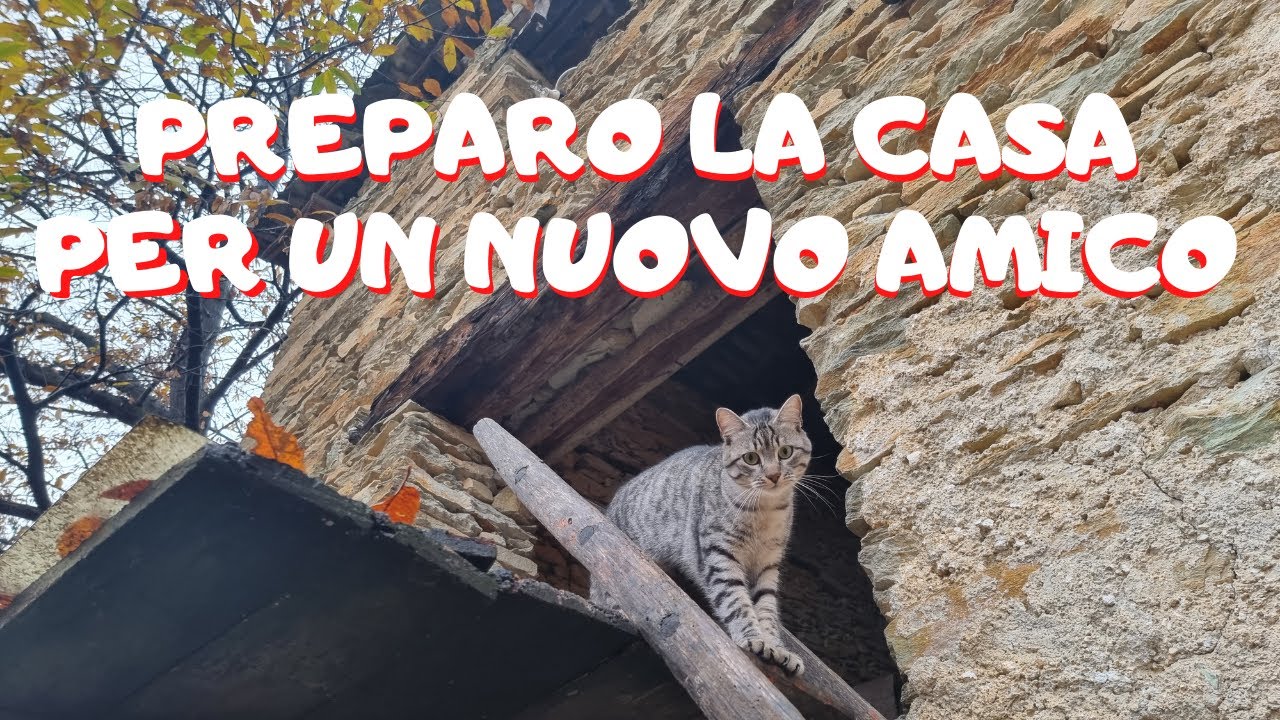 Prepariamo la stalla! - Ep. 259 - Vita in Montagna