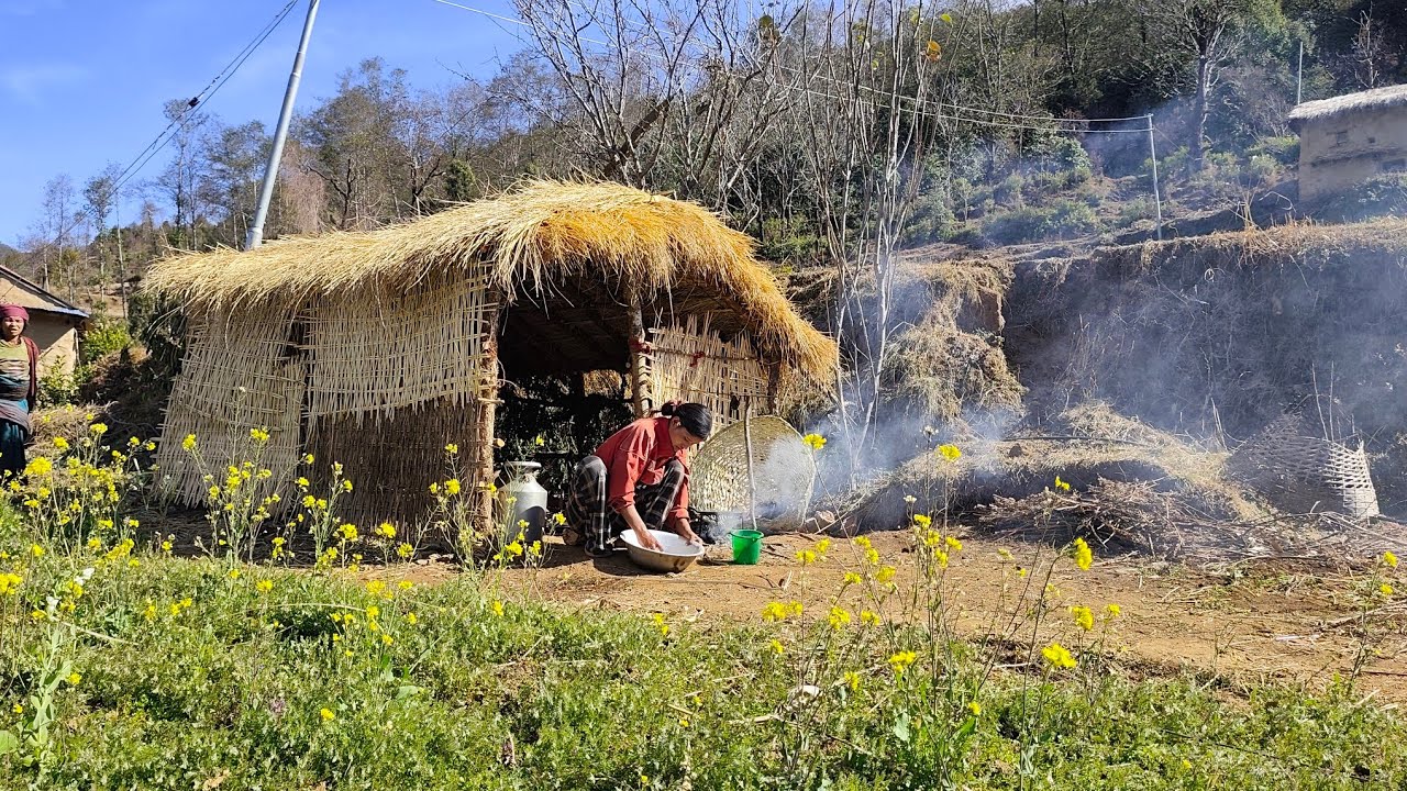 Simple Nepali village cooking ll A humble Nepali family meal  in village l the western  lifestyle l