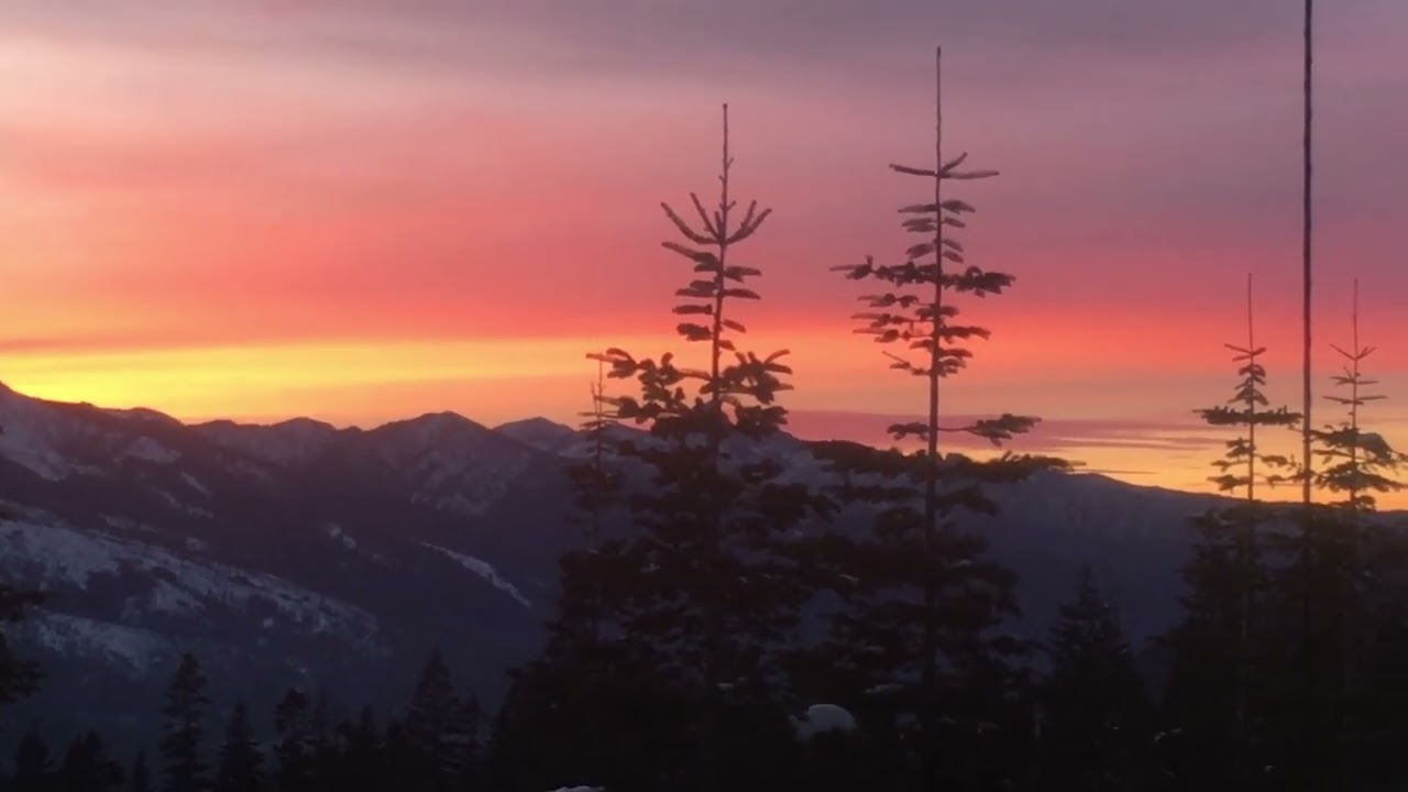 Sunset DX 605Brad Hogtown radio roundup