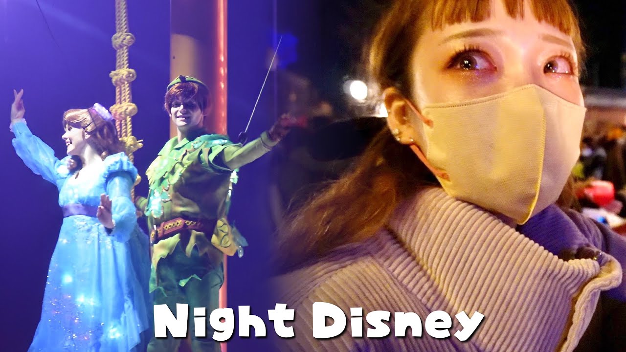 仕事終わりにディズニー行ったら嫁が号泣しすぎた……。【Disney vlog】