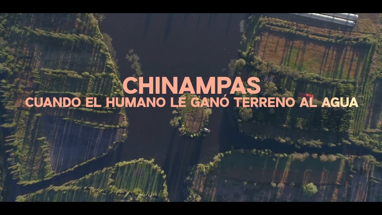 Arqueología Mexicana_Chinampas, cuando el humano le ganó terreno al agua