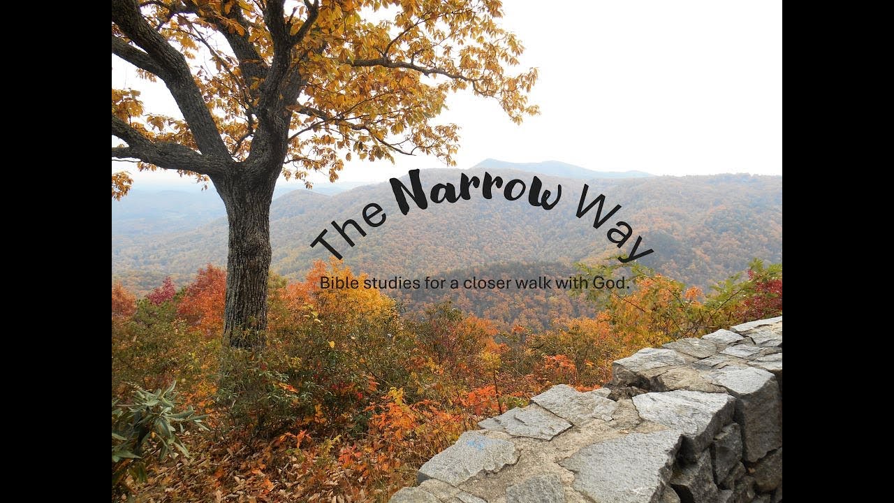 The Narrow way, 1/11/2026. Genesis 1:1, God.