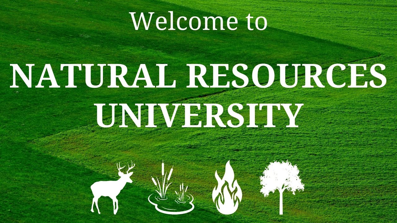 Welcome to NRU | Ep 01