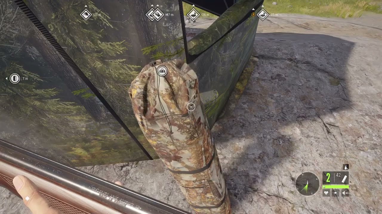 The Hunter - Call of the wild PS4 Hunting ducks
