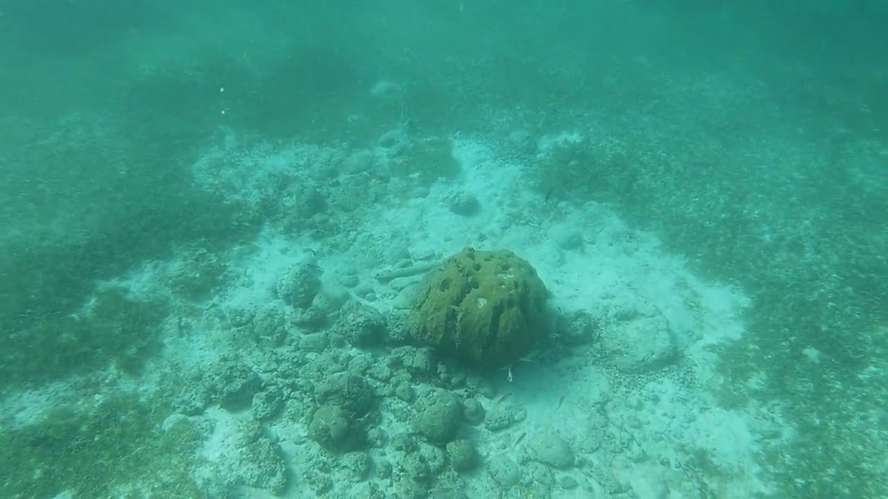 Tres Trapi Beach Aruba 2 of 2