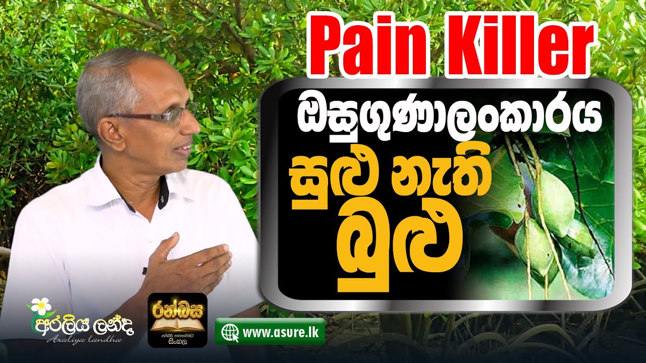 Most advantageous BULU | Sirasa suwapath karana bulu | Bulu medicinal qualities | Bulu tree | බුලු