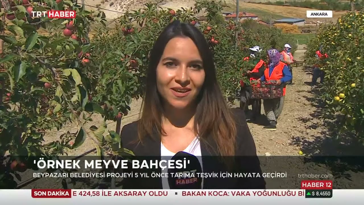 Ankara Örnek Meyve Bahçesi 11.09.2021 TURKEY