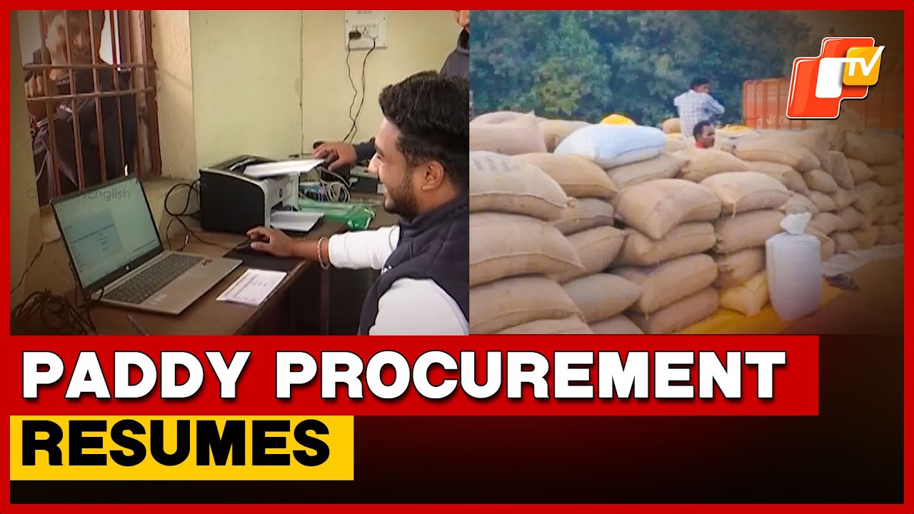 Farmers Return To Mandis As Paddy Procurement Resumes In Sambalpur | Odisha
