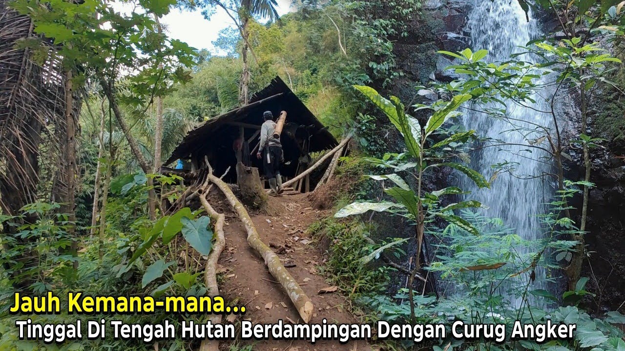 Senekad Ini Memilih Tinggal di Rumah Gubuk Tengah Hutan Berdampingan Dengan Curug Angker
