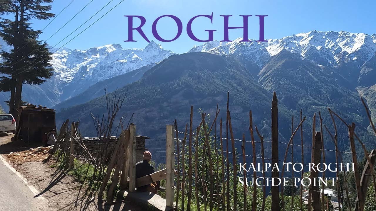 Roghi Village | Kalpa to Roghi Bike journey | Apple Orchards | Sucide point | Himachal | Kinnaur